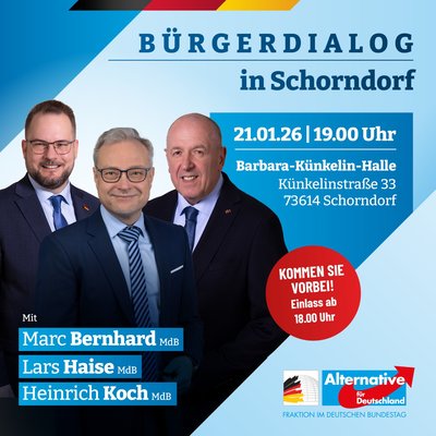 Event-Flyer Bürgerdialog der AfD-Bundestagsfraktion in Schorndorf