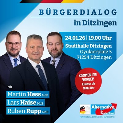 Event-Flyer Bürgerdialog in Ditzingen mit Martin Hess, Lars Haise und Ruben Rupp