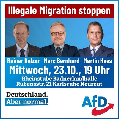 Event-Flyer Illegale Migration stoppen! Bürgerdialog mit Rainer Balzer MdL, Marc Mernhard MdB und Martin Hess MdB